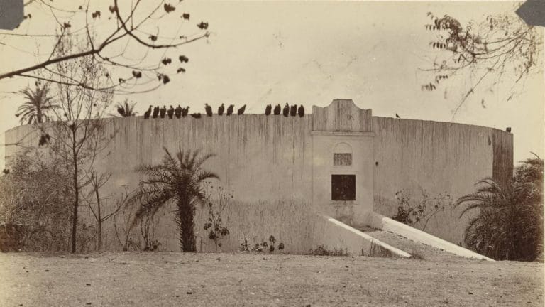 ‘It is about journey of soul’ — Parsis seek exemption, want Covid funerals on their terms