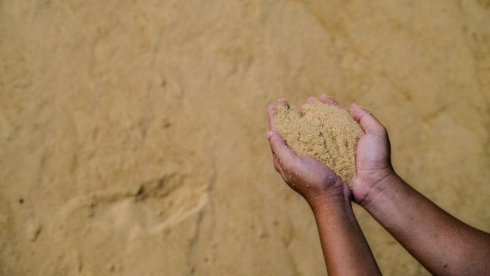 An employee holds raw sugar for a photograph inside a sugar refinery | Representational image | Bloomberg