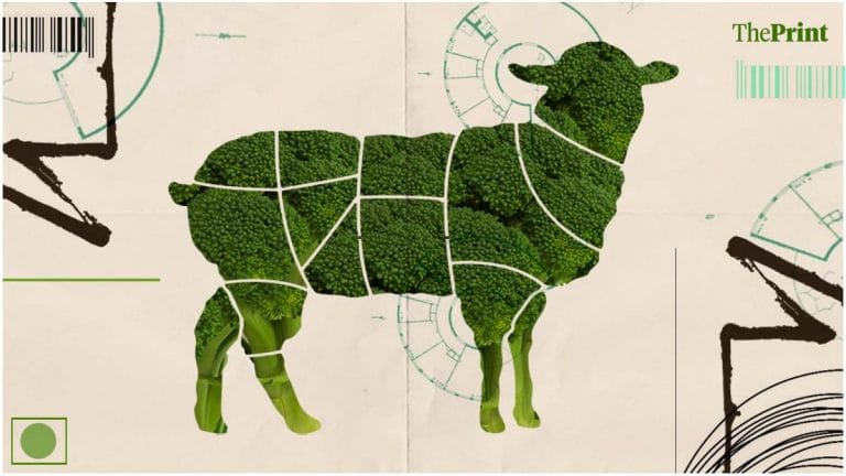 From vegicken curry to vegan mutton tikkas, mock meat players race to win Indian tastebuds