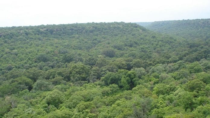 Representational image of forests | Commons