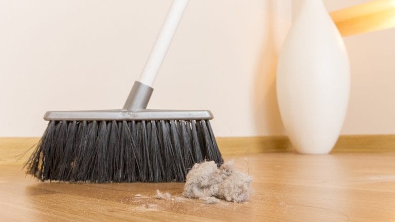 We looked at house dust from 35 countries. It revealed global toxic contaminant exposure