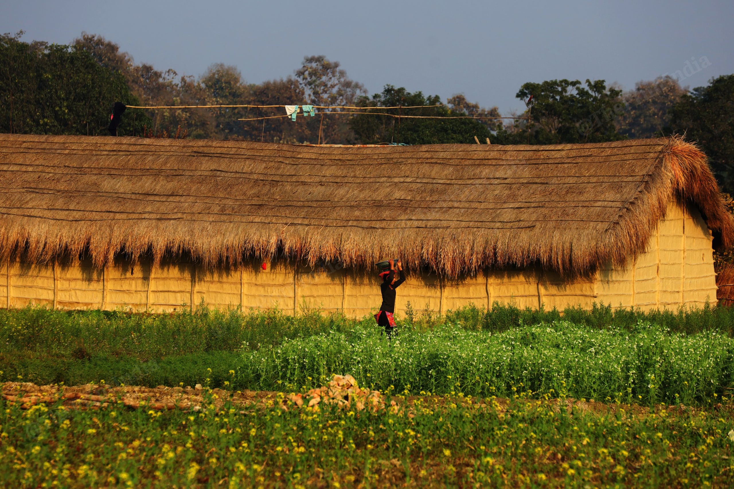 Most of the villagers are forest dwellers | Photo: Manisha Mondal | ThePrint
