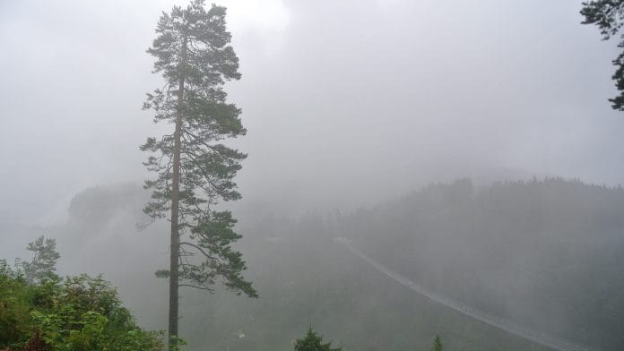 A hill side covered with fog