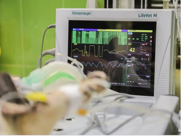 'Ross procedure' leads to improved survival in adults undergoing aortic valve surgery: Study