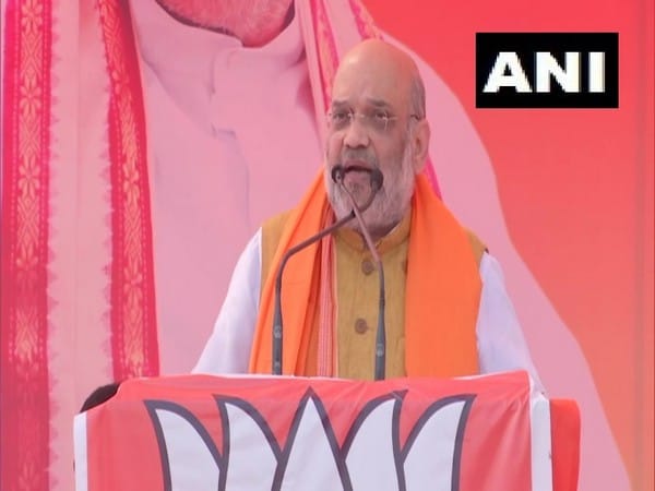 PM Modi, UP CM Yogi Adityanath got people of UP rid of mosquitoes, mafias: Amit Shah