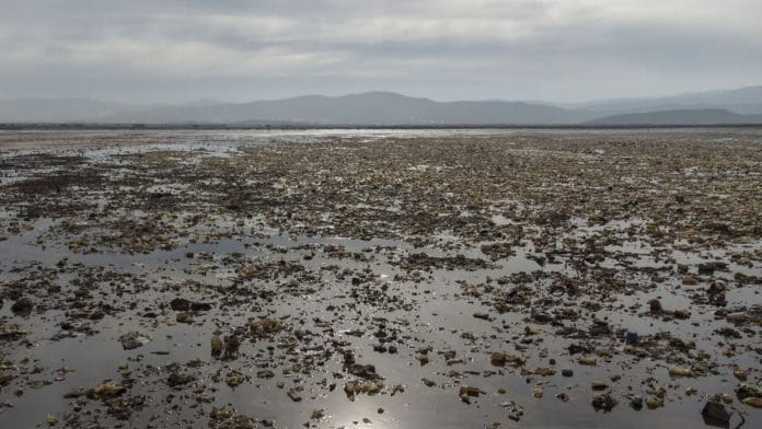 Representational image | Bloomberg