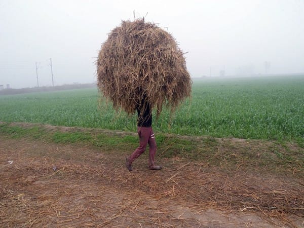 UP: As Bareilly goes to polls tomorrow, small scale industrialists demand 