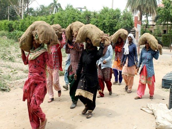 Uttar Pradesh flour-masala mill scheme aims to provide employment for over 2000 women