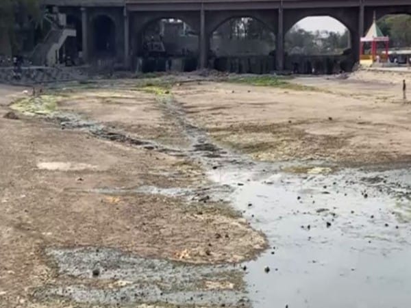 As summer approaches, Godavari river drying up