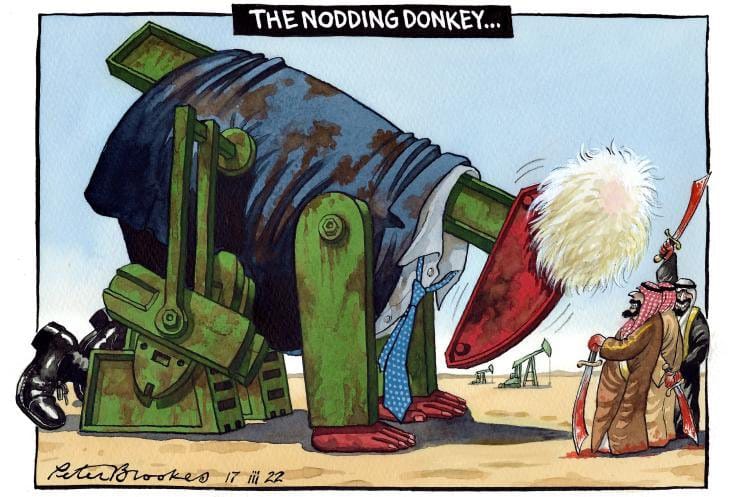 Peter Brookes | The Times