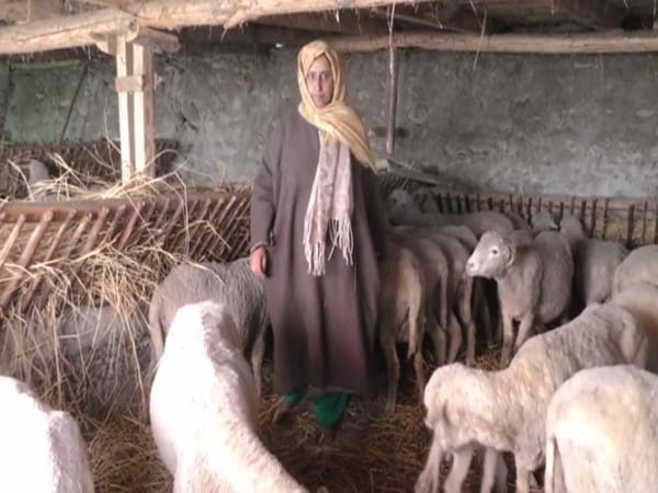 J-K govt's self-employment schemes help women become self-reliant