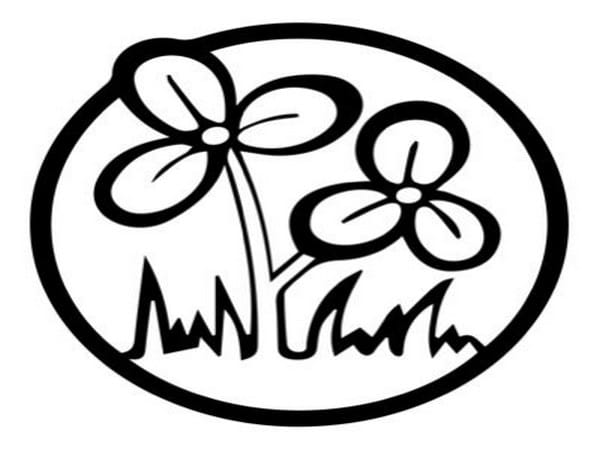 Goa TMC leader Mahesh Amonkar resigns from party alleging 'lack of support'