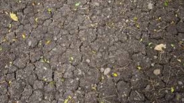 Portugal begins to ration water amid extreme drought