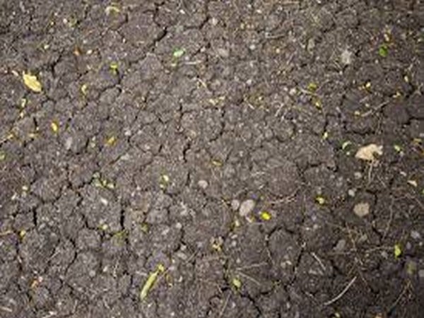 Portugal begins to ration water amid extreme drought – ThePrint – ANIFeed