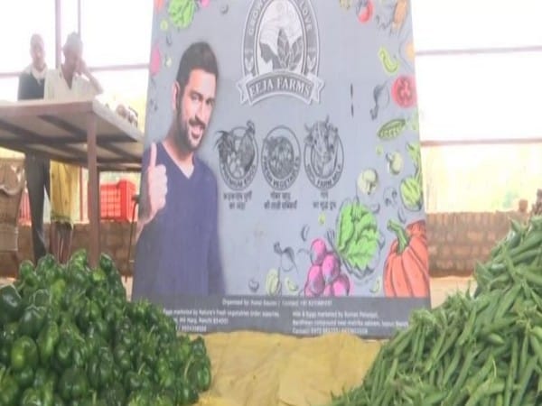 MS Dhoni's agricultural farm in Ranchi opened for visitors on occasion of Holi