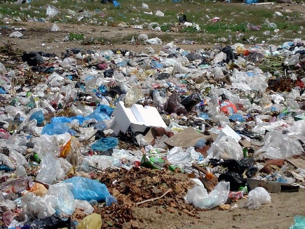 New enzyme developed by scientists to curb plastic waste