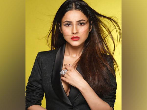 Don't want to ditch your favourite parathas to lose weight? Follow Shehnaaz Gill's guilt-free diet secrets 