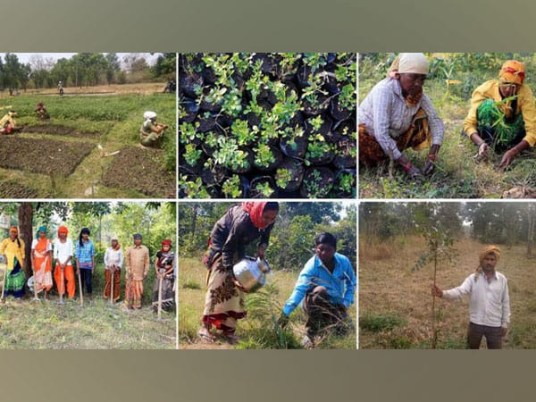 Social organization achieves massive milestone of planting 10 million trees across India