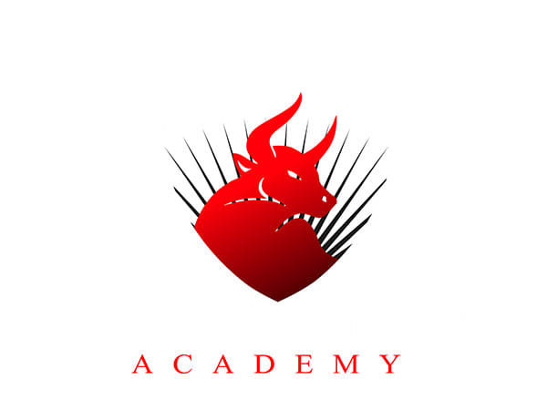 Booming Bulls: A Stock Market Training Company is touching New Highs in its Number of Admissions