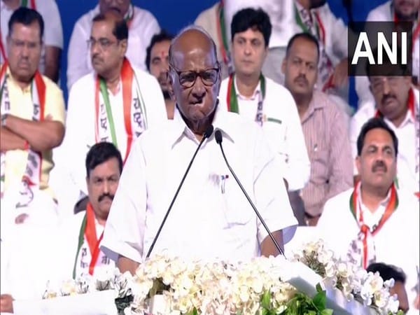 Pawar says there's instability in country; those who have responsibility couldn't fulfill it