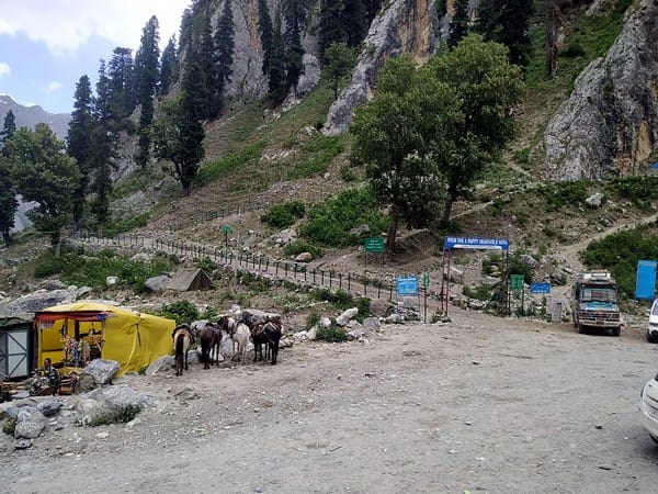 Apart from pilgrims, ponies will also be RFID tagged for better safety during Amarnath Yatra