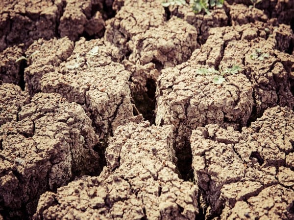 Human greed leads to chronic land degradation across world, says stark UN report