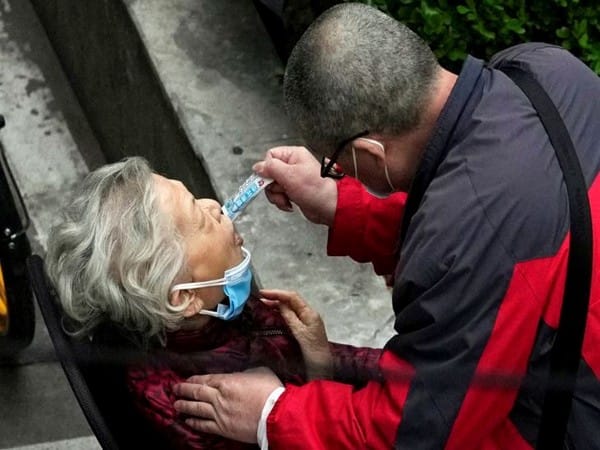 Chinese herbal medicine receives crushing blow to its reputation as product discredited for preventing COVID-19