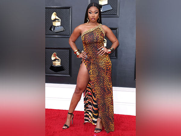 megan thee stallion red carpet dress Megan Thee Stallion Stuns in Chopard Jewels and a Dolce & Gabbana Gown on  Grammys Red Carpet