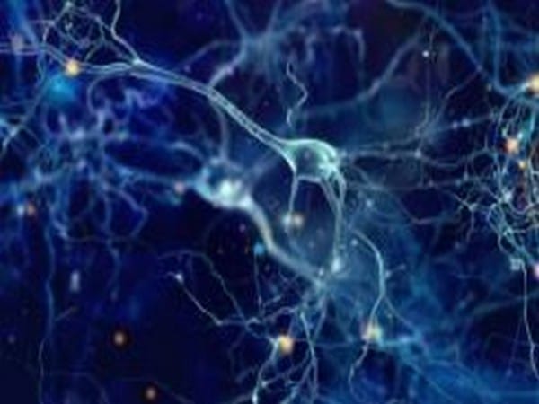 Kashmir based virologist discovers outbreak of Rift Valley Fever in human cells