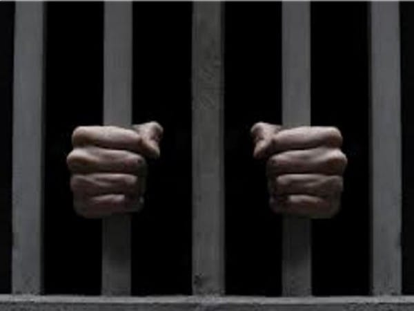 Delhi Police arrests 5 people accused of Cow Slaughtering