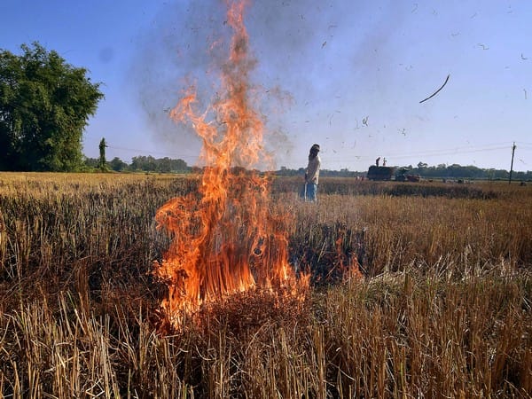 Delhi govt issues 21 notices under anti-open burning drive
