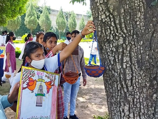 Ministry of Education releases National Achievement Survey 2021 report