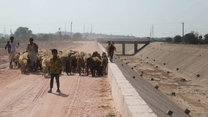 The Kachchh branch canal, which is currently dry due to maintenance work | Manisha Mondal | ThePrint