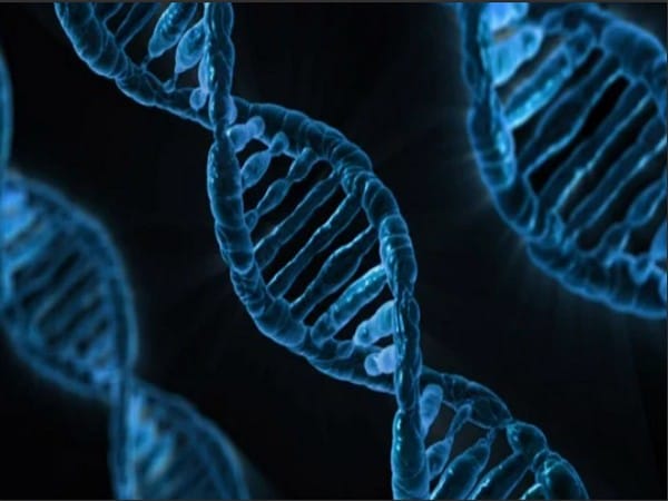 Quantum mechanics explains spontaneous mutation of DNA: Study