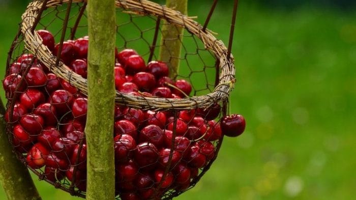 Enough cherry picking, India needs to aim for the cake. Start from Baramulla mishri