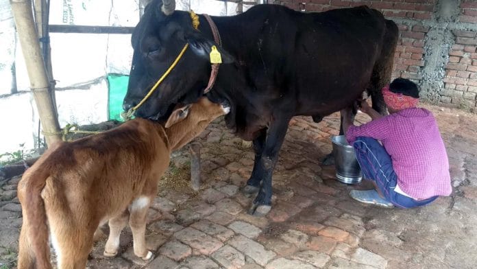 Image for representation | ANI