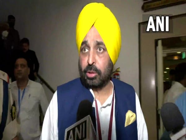 Bhagwant Mann terms situation 'peaceful' in Patiala, accuses opposition parties for violence