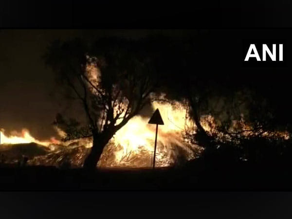 Massive fire at wood depot in Maharashtra's Ballarpur 