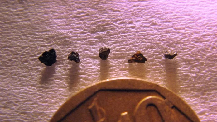 Samples of the Hypatia stone found in the Sahara desert in 1992 | Photo Courtesy: University of Johannesburg