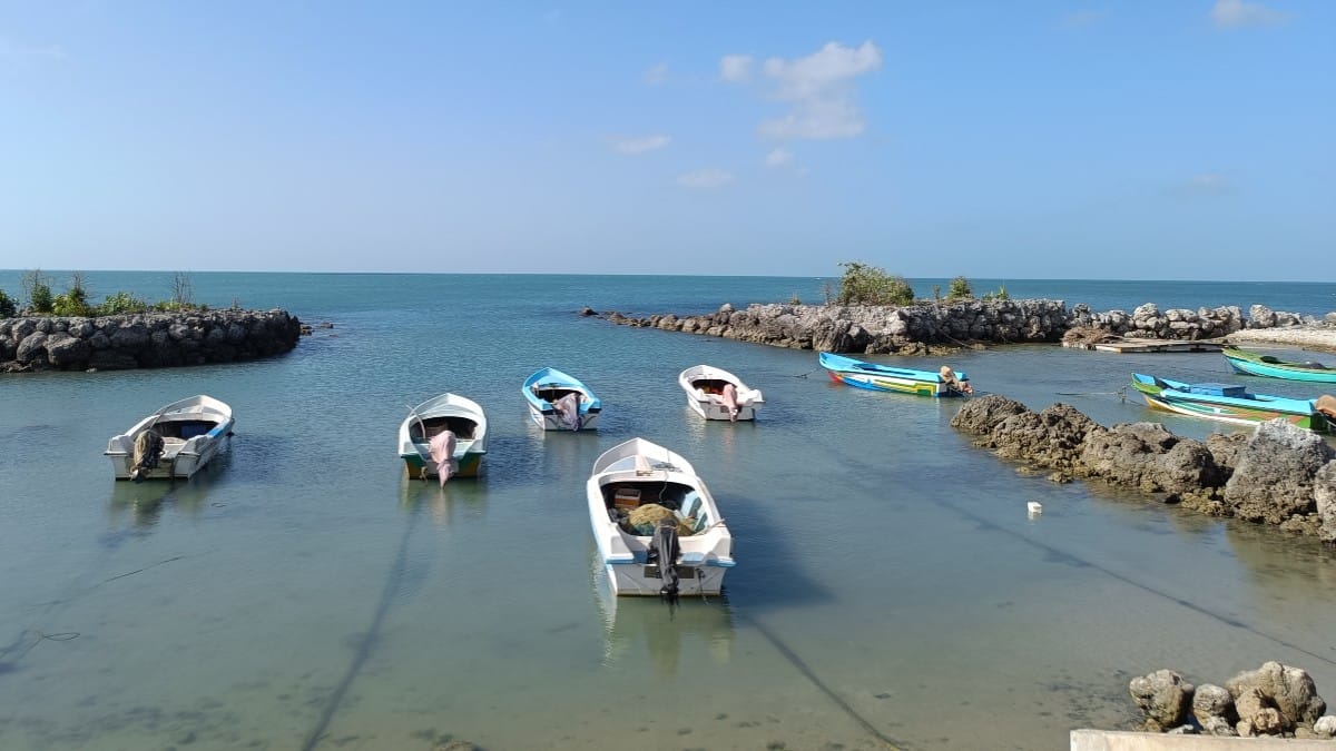 Traditional fishing boats at Palaly North | Sowmiya Ashok | ThePrint