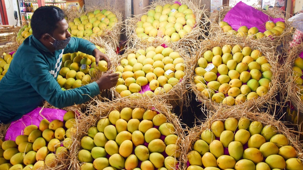 Japan says no to Indian mangoes after 20 yrs. Raises questions about monopoly, say exporters