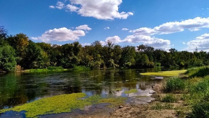 File photo of the Siverskyi Donets river | Wikimedia Commons