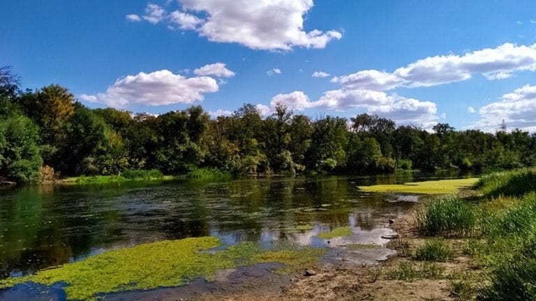 How Russia couldn’t ‘gauge Ukrainian artillery’ & ‘lost 485 soldiers’ in failed river crossing