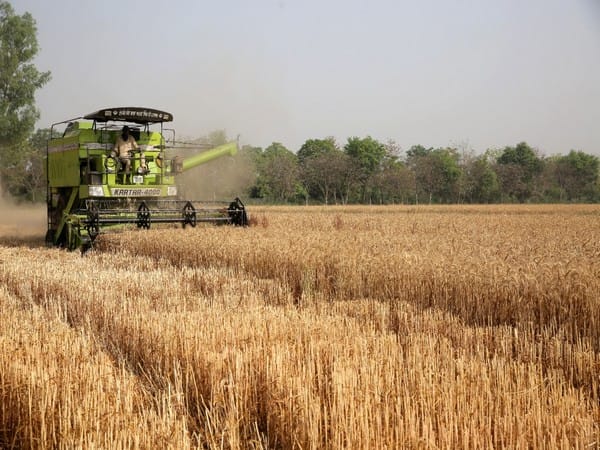 Chinese media defends Indian wheat export curb after G7 criticism