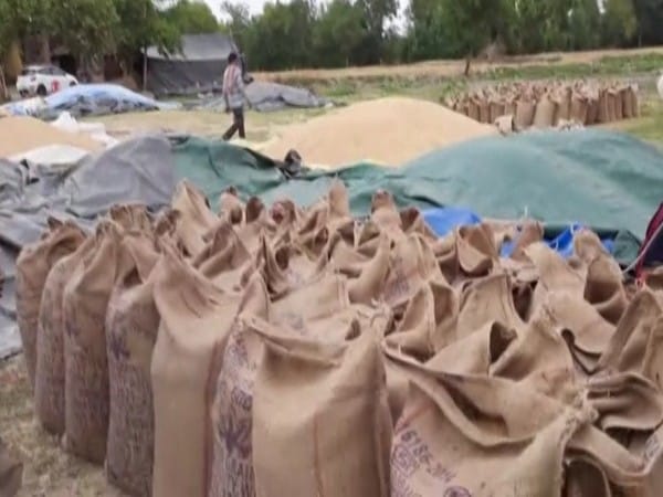 India's trade delegations to explore wheat export possibilities in several countries