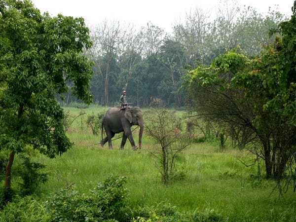 SC says eco-sensitive zone 'essential' in protected forests, national sanctuaries