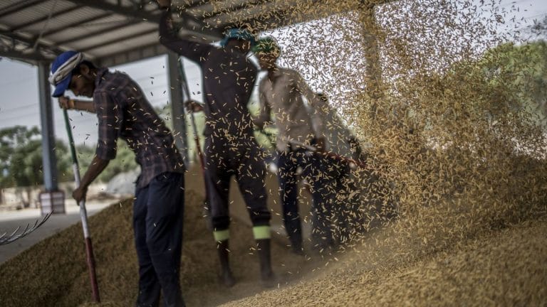 G-7 sees Modi’s ban on wheat exports as an obstacle to combating rising food prices