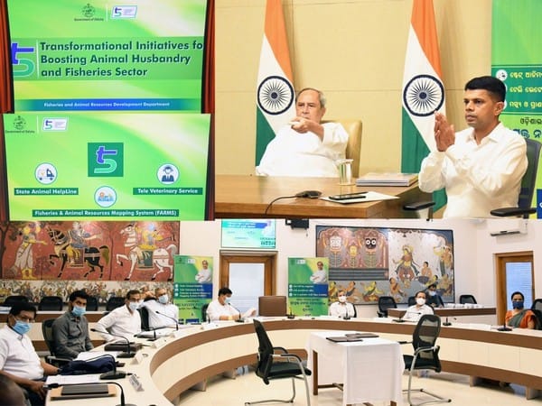 Odisha CM launches helpline number for protection of stray, abandoned animals