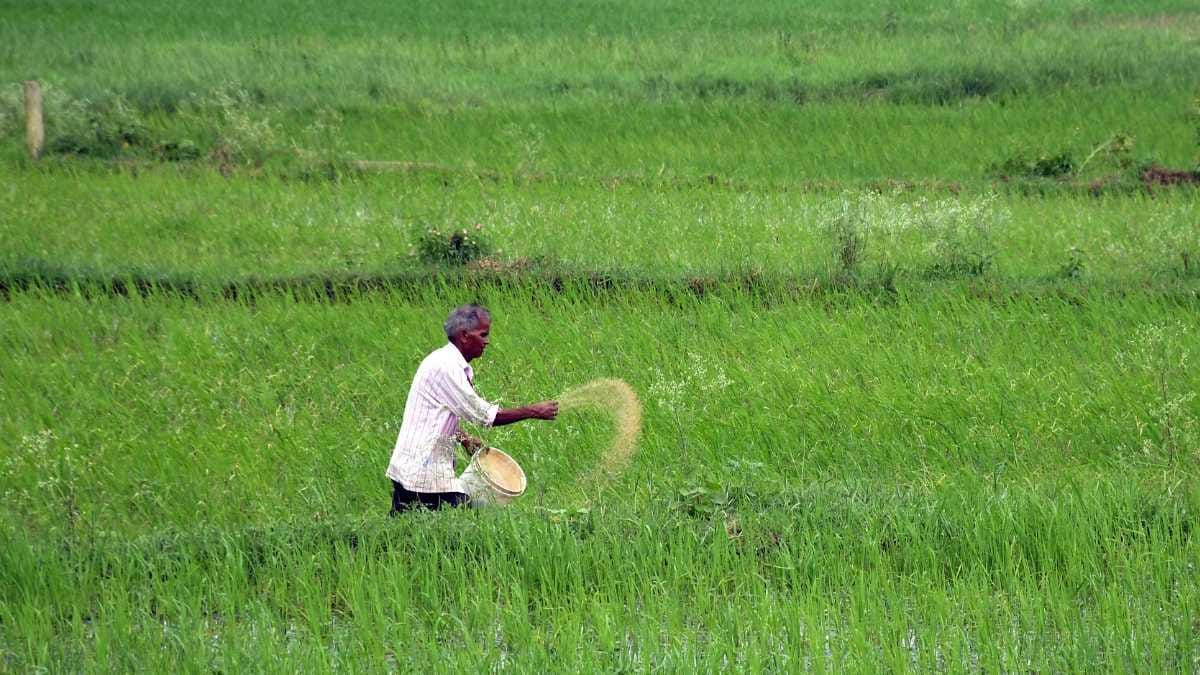 India must reduce its dependence on fertiliser imports before it’s too late