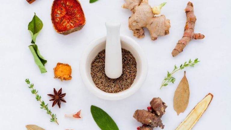 Dated, sexist and problematic—Why Indian Ayurvedic syllabus must evolve with changing times